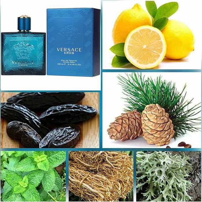 M&ugrave;i hương vị t&igrave;nh y&ecirc;u từ Versace Eros EDT 50ml